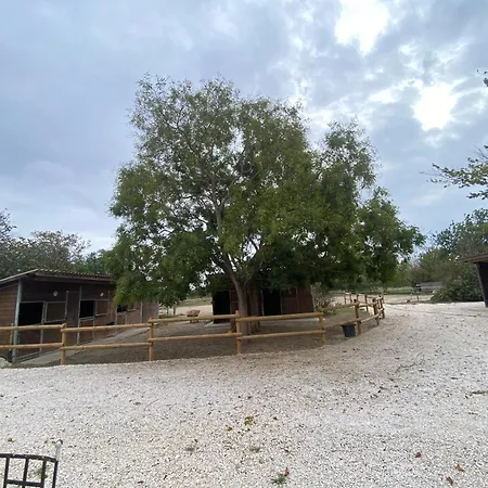 Holiday home Provencal Du Mas Arnaud