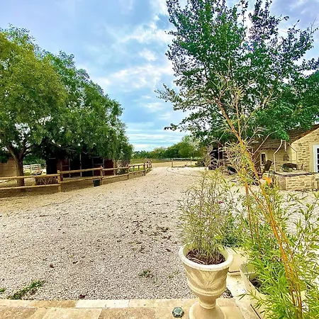 Provencal Du Mas Arnaud *