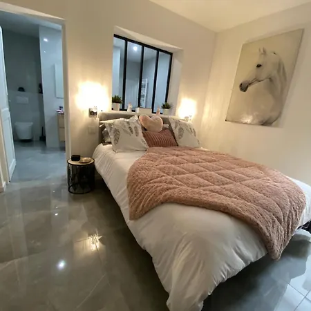 Provencal Du Mas Arnaud Holiday home